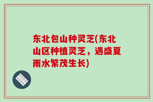 东北包山种灵芝(东北山区种植灵芝，遇盛夏雨水繁茂生长)