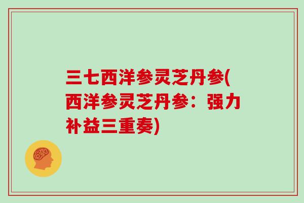 三七西洋参灵芝丹参(西洋参灵芝丹参：强力补益三重奏)