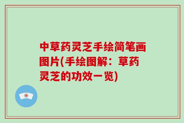 中草药灵芝手绘简笔画图片(手绘图解：草药灵芝的功效一览)