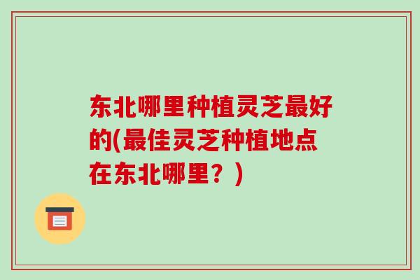 东北哪里种植灵芝最好的(最佳灵芝种植地点在东北哪里?)