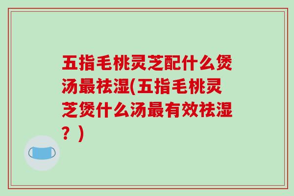 五指毛桃灵芝配什么煲汤最祛湿(五指毛桃灵芝煲什么汤最有效祛湿?)