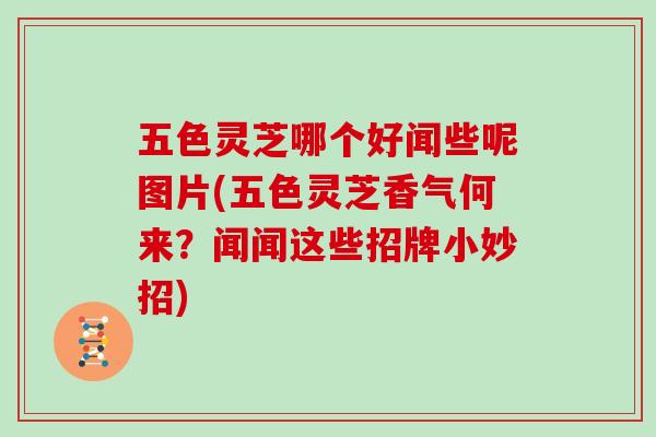 五色灵芝哪个好闻些呢图片(五色灵芝香气何来?闻闻这些招牌小妙招)