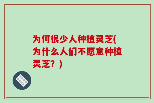 为何很少人种植灵芝(为什么人们不愿意种植灵芝?)