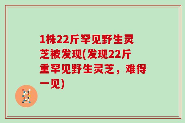 1株22斤罕见野生灵芝被发现(发现22斤重罕见野生灵芝,难得一见)