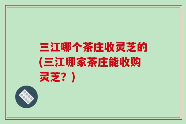 三江哪个茶庄收灵芝的(三江哪家茶庄能收购灵芝?)