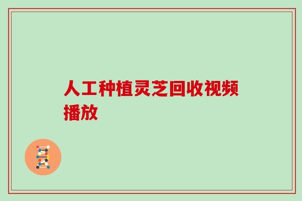 人工种植灵芝回收视频播放