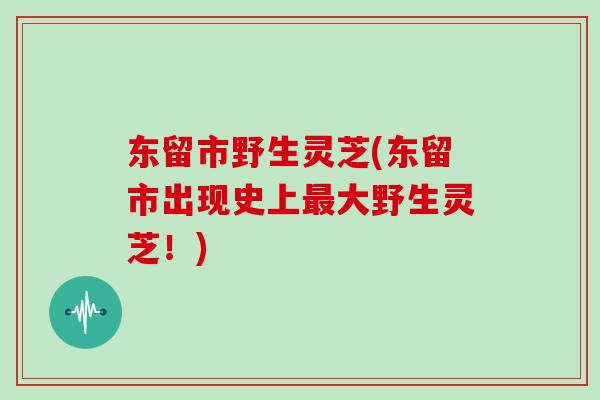 东留市野生灵芝(东留市出现史上最大野生灵芝!)