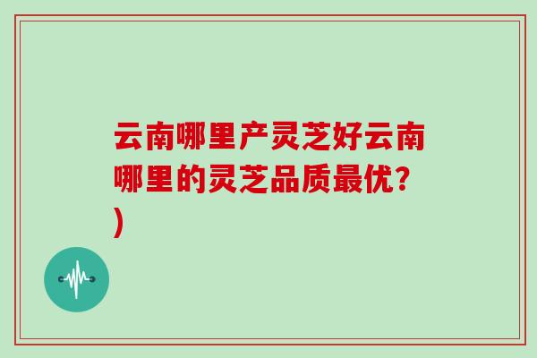 云南哪里产灵芝好云南哪里的灵芝品质最优?)