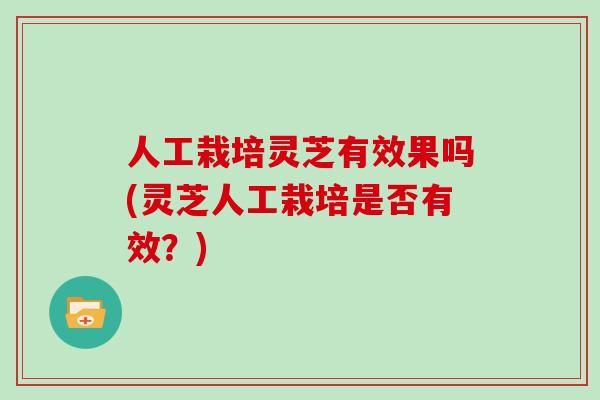 人工栽培灵芝有效果吗(灵芝人工栽培是否有效?)