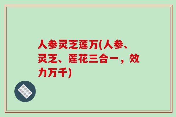 人参灵芝莲万(人参、灵芝、莲花三合一，效力万千)