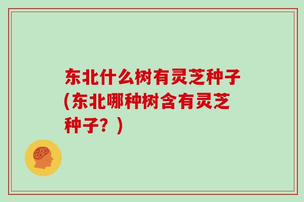 东北什么树有灵芝种子(东北哪种树含有灵芝种子？)