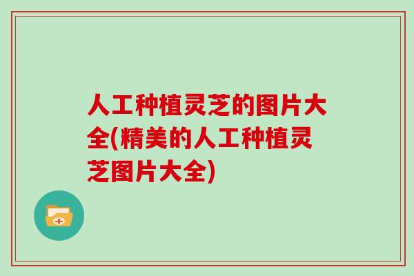 人工种植灵芝的图片大全(精美的人工种植灵芝图片大全)