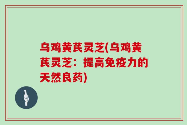乌鸡黄芪灵芝(乌鸡黄芪灵芝：提高免疫力的天然良药)