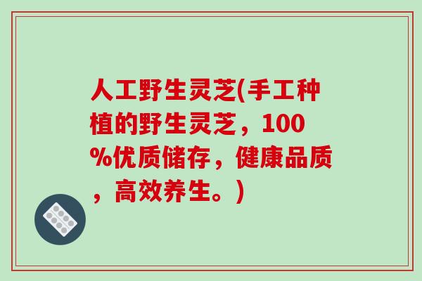 人工野生灵芝(手工种植的野生灵芝,100%优质储存,健康品质,高效养生。)