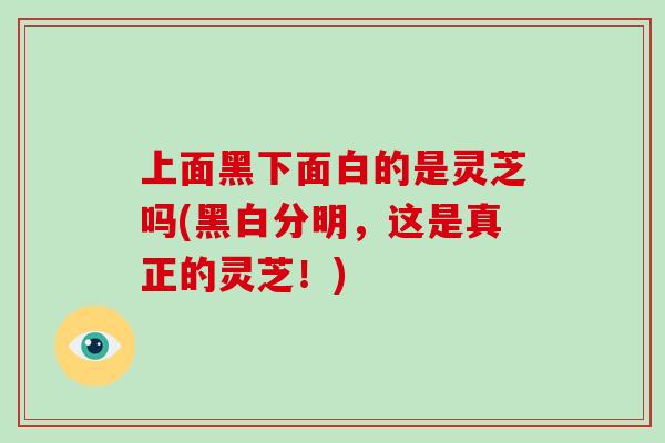 上面黑下面白的是灵芝吗(黑白分明,这是真正的灵芝!)
