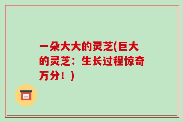 一朵大大的灵芝(巨大的灵芝：生长过程惊奇万分！)