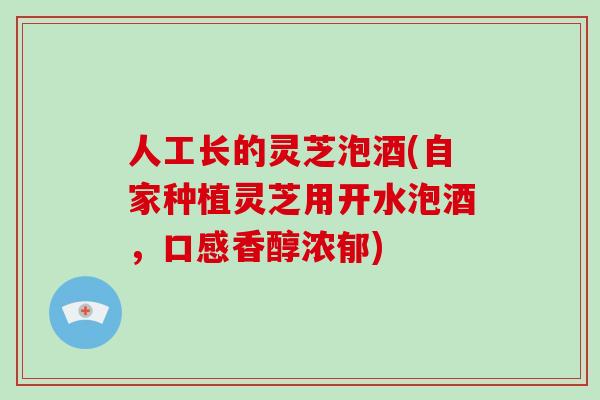 人工长的灵芝泡酒(自家种植灵芝用开水泡酒，口感香醇浓郁)