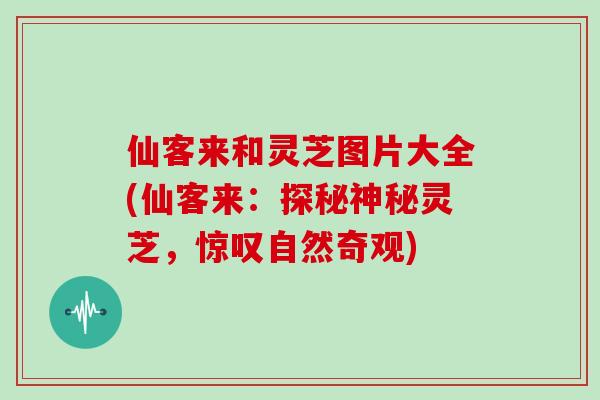 仙客来和灵芝图片大全(仙客来:探秘神秘灵芝,惊叹自然奇观)