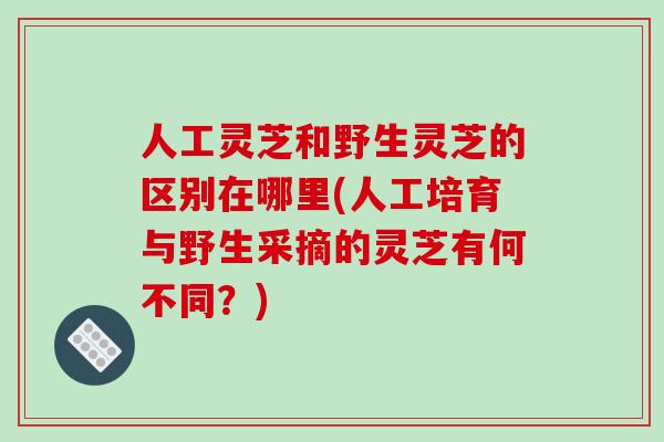 人工灵芝和野生灵芝的区别在哪里(人工培育与野生采摘的灵芝有何不同？)