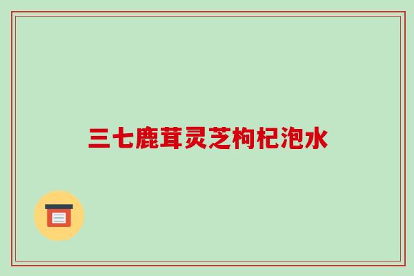 三七鹿茸灵芝枸杞泡水