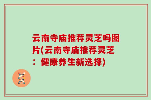 云南寺庙推荐灵芝吗图片(云南寺庙推荐灵芝:健康养生新选择)
