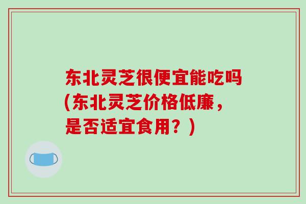 东北灵芝很便宜能吃吗(东北灵芝价格低廉,是否适宜食用?)
