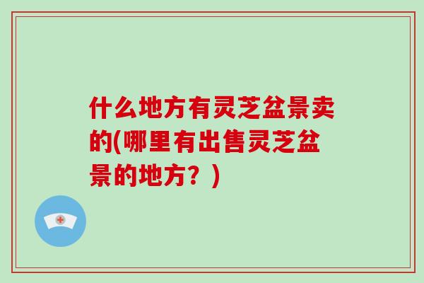 什么地方有灵芝盆景卖的(哪里有出售灵芝盆景的地方?)