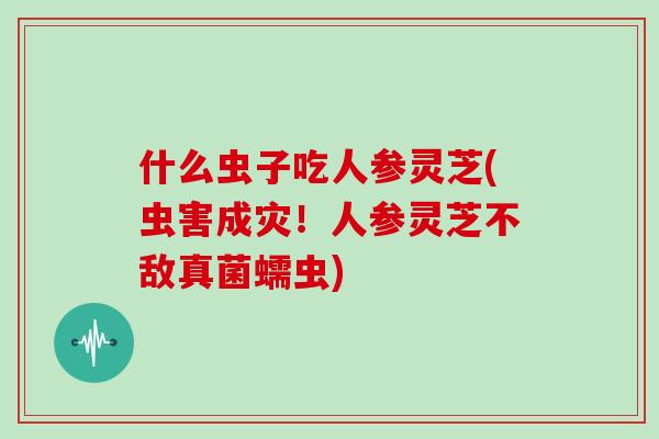 什么虫子吃人参灵芝(虫害成灾!人参灵芝不敌真菌蠕虫)