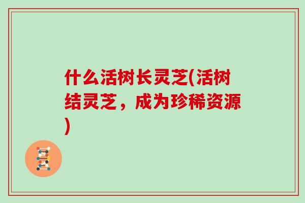 什么活树长灵芝(活树结灵芝,成为珍稀资源)