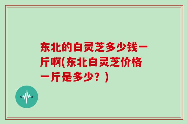 东北的白灵芝多少钱一斤啊(东北白灵芝价格一斤是多少?)