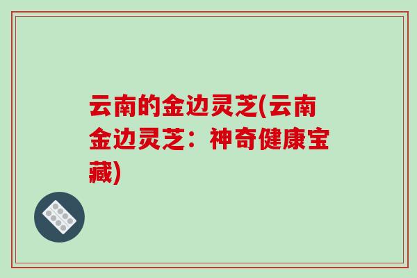 云南的金边灵芝(云南金边灵芝:神奇健康宝藏)
