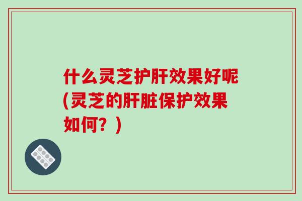 什么灵芝护肝效果好呢(灵芝的肝脏保护效果如何?)