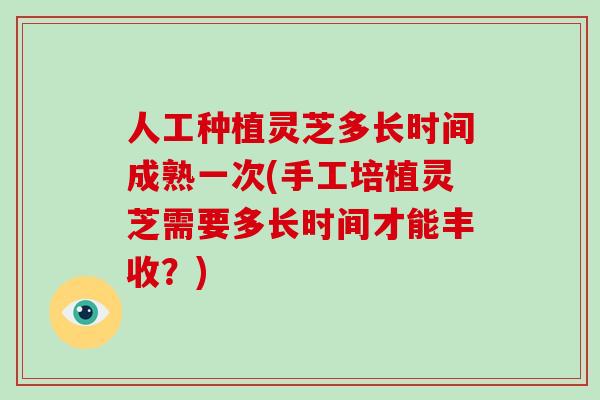 人工种植灵芝多长时间成熟一次(手工培植灵芝需要多长时间才能丰收?)