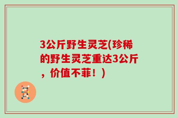 3公斤野生灵芝(珍稀的野生灵芝重达3公斤，价值不菲！)