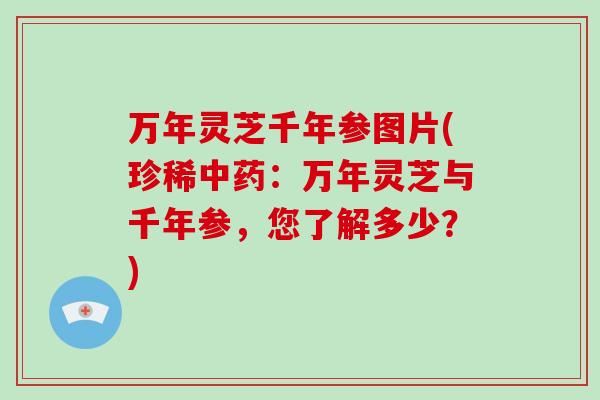 万年灵芝千年参图片(珍稀中药：万年灵芝与千年参，您了解多少？)