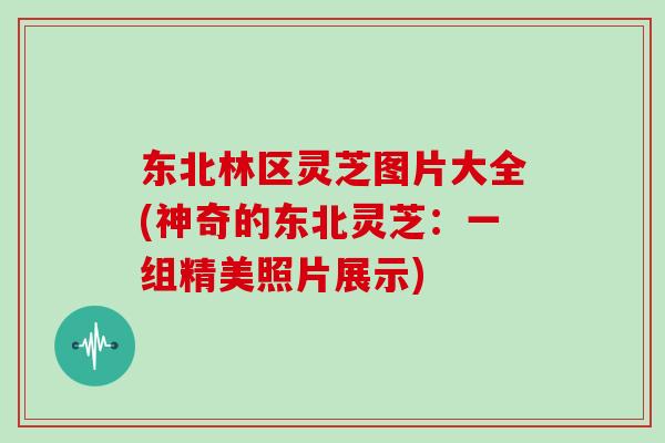 东北林区灵芝图片大全(神奇的东北灵芝:一组精美照片展示)