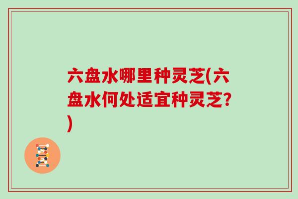 六盘水哪里种灵芝(六盘水何处适宜种灵芝?)
