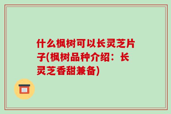 什么枫树可以长灵芝片子(枫树品种介绍：长灵芝香甜兼备)