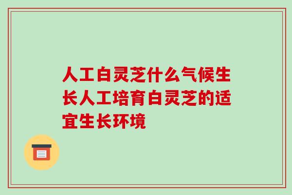 人工白灵芝什么气候生长人工培育白灵芝的适宜生长环境
