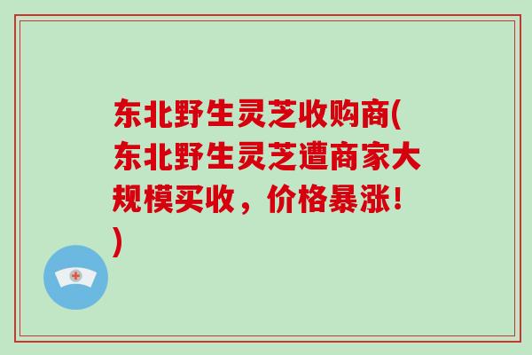 东北野生灵芝收购商(东北野生灵芝遭商家大规模买收,价格暴涨!)