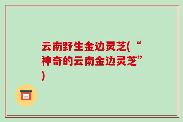 云南野生金边灵芝(“神奇的云南金边灵芝”)