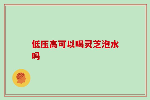 低压高可以喝灵芝泡水吗