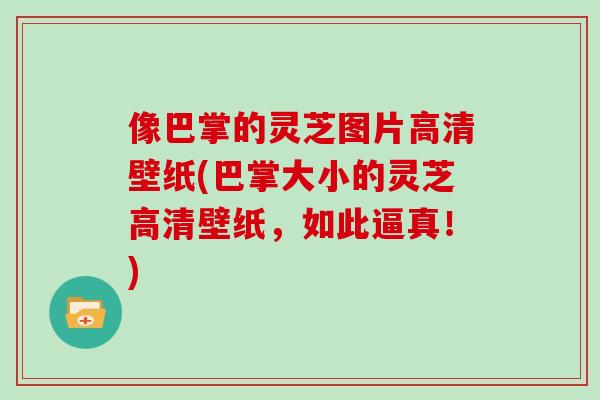 像巴掌的灵芝图片高清壁纸(巴掌大小的灵芝高清壁纸,如此逼真!)
