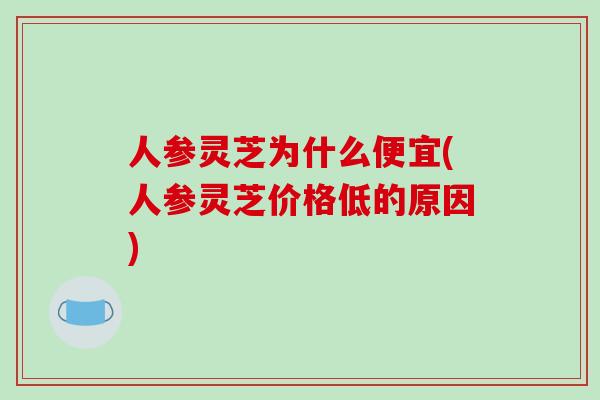 人参灵芝为什么便宜(人参灵芝价格低的原因)