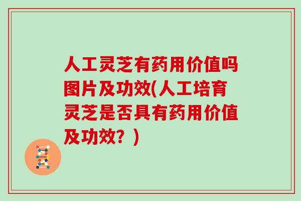 人工灵芝有药用价值吗图片及功效(人工培育灵芝是否具有药用价值及功效？)