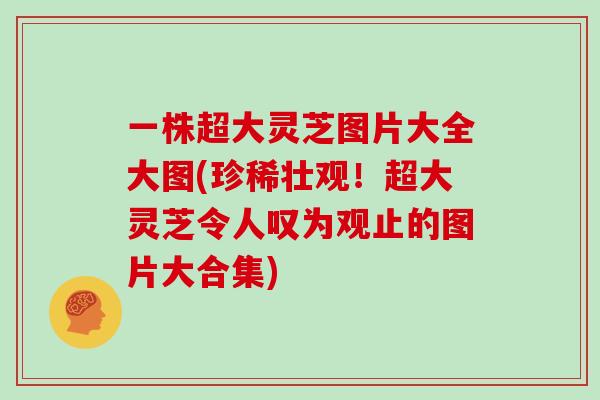 一株超大灵芝图片大全大图(珍稀壮观！超大灵芝令人叹为观止的图片大合集)