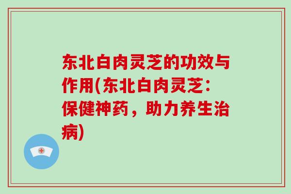 东北白肉灵芝的功效与作用(东北白肉灵芝:保健神药,助力养生治病)