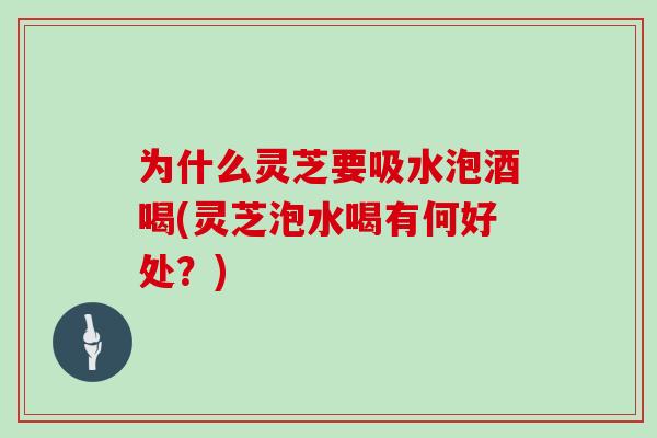 为什么灵芝要吸水泡酒喝(灵芝泡水喝有何好处?)