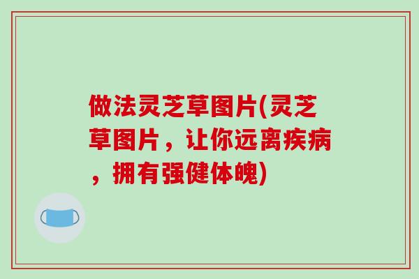 做法灵芝草图片(灵芝草图片,让你远离疾病,拥有强健体魄)