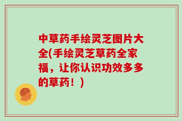 中草药手绘灵芝图片大全(手绘灵芝草药全家福,让你认识功效多多的草药!)